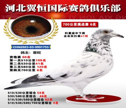 血戰(zhàn)到底秋季700公里全會(huì)僅歸巢41羽6名