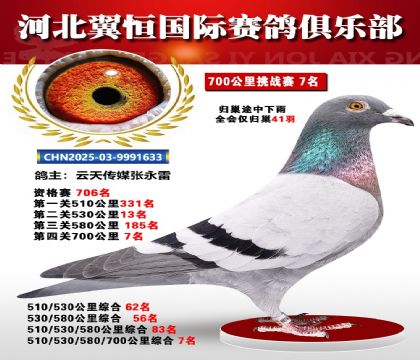 血戰(zhàn)到底秋季700公里全會(huì)僅歸巢41羽7名