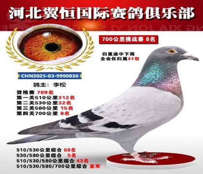 血戰(zhàn)到底秋季700公里全會(huì)僅歸巢41羽8名