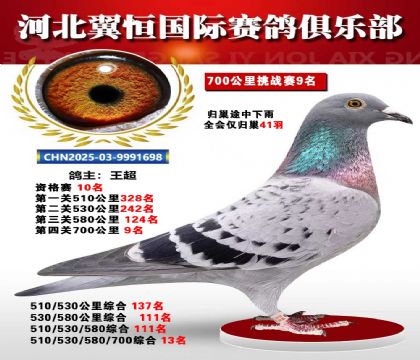 血戰(zhàn)到底秋季700公里全會(huì)僅歸巢41羽9名