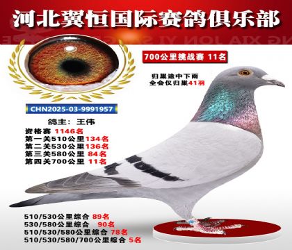 血戰(zhàn)到底秋季700公里全會(huì)僅歸巢41羽11名