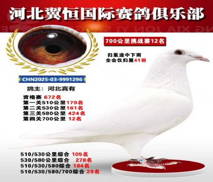 血戰(zhàn)到底秋季700公里全會(huì)僅歸巢41羽12名