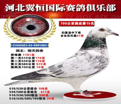 血戰(zhàn)到底秋季700公里全會(huì)僅歸巢41羽15名