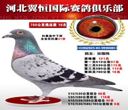 血戰(zhàn)到底秋季700公里全會(huì)僅歸巢41羽16名