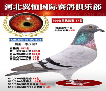 血戰(zhàn)到底秋季700公里全會(huì)僅歸巢41羽17名