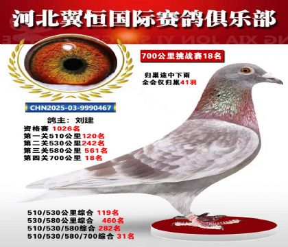 血戰(zhàn)到底秋季700公里全會(huì)僅歸巢41羽18名