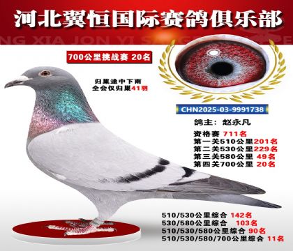 血戰(zhàn)到底秋季700公里全會(huì)僅歸巢41羽20名