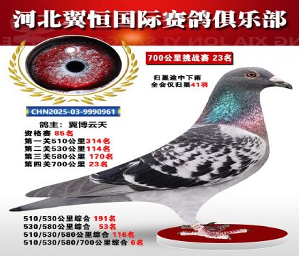 血戰(zhàn)到底秋季700公里全會(huì)僅歸巢41羽23名