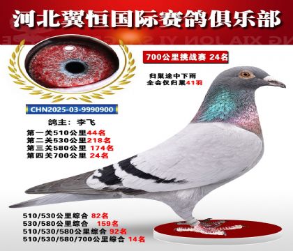 血戰(zhàn)到底秋季700公里全會(huì)僅歸巢41羽24名