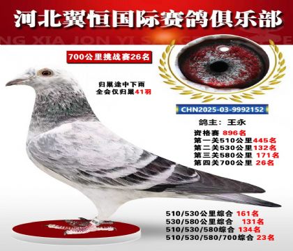 血戰(zhàn)到底秋季700公里全會(huì)僅歸巢41羽26名