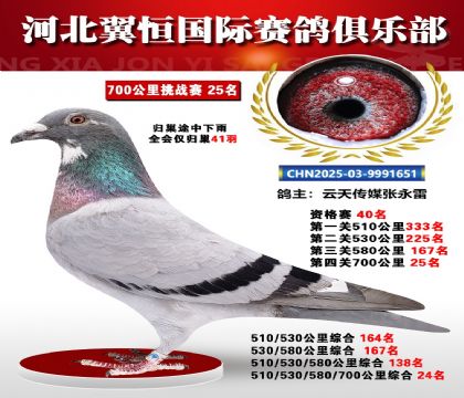 血戰(zhàn)到底秋季700公里全會(huì)僅歸巢41羽25名