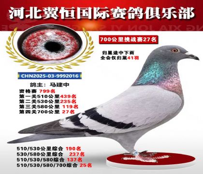 血戰(zhàn)到底秋季700公里全會(huì)僅歸巢41羽27名