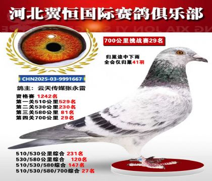 血戰(zhàn)到底秋季700公里全會(huì)僅歸巢41羽29名