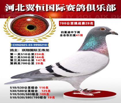 血戰(zhàn)到底秋季700公里全會(huì)僅歸巢41羽28名