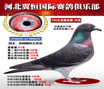 血戰(zhàn)到底秋季700公里全會(huì)僅歸巢41羽30名