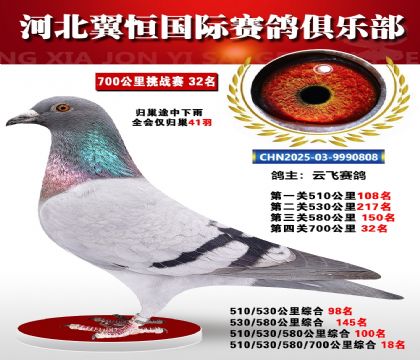 血戰(zhàn)到底秋季700公里全會(huì)僅歸巢41羽32名