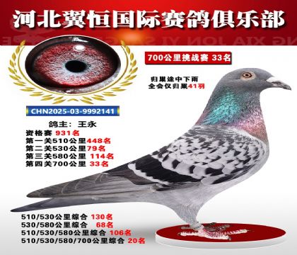 血戰(zhàn)到底秋季700公里全會(huì)僅歸巢41羽33名