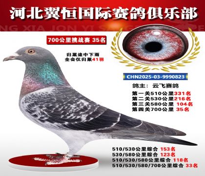 血戰(zhàn)到底秋季700公里全會(huì)僅歸巢41羽35名