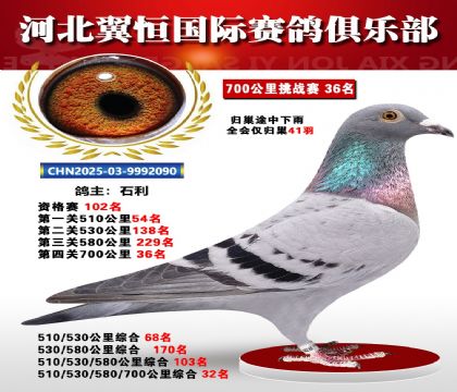 血戰(zhàn)到底秋季700公里全會(huì)僅歸巢41羽36名