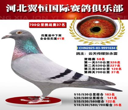 血戰(zhàn)到底秋季700公里全會(huì)僅歸巢41羽37名