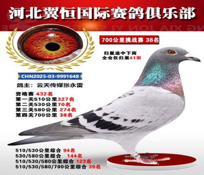 血戰(zhàn)到底秋季700公里全會(huì)僅歸巢41羽38名