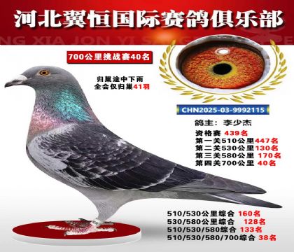 血戰(zhàn)到底秋季700公里全會(huì)僅歸巢41羽40名