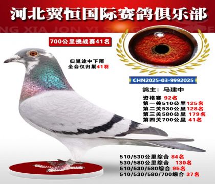 血戰(zhàn)到底秋季700公里全會(huì)僅歸巢41羽 41名