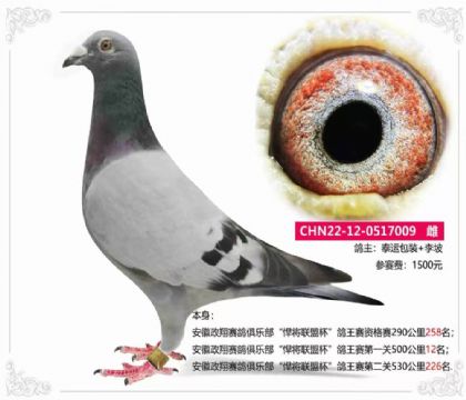 (lin)˱P(gun)12γɿ(j)