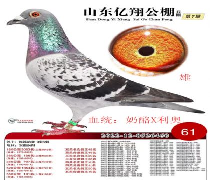 ɽ||560վِ61AL(fng)Wֱ