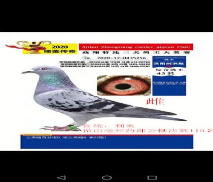 P(gun)512P(gun)43AL(fng)WֱŮ