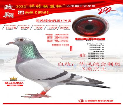 (lin)˱P(gun)176AL(fng)WXɣʿ