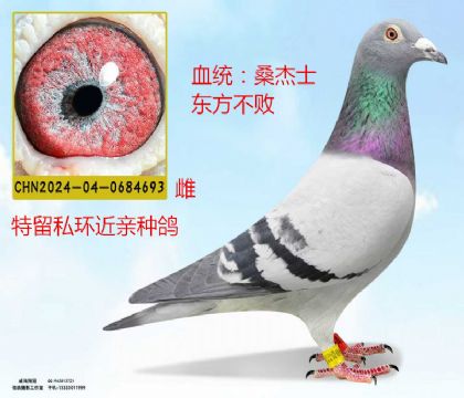 桑杰士東方不敗近親