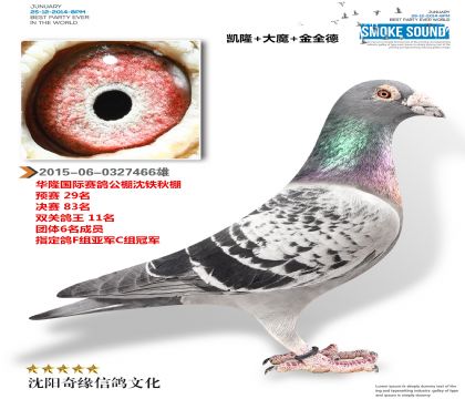 IڴħԷA¡A(y)ِ29Qِ83