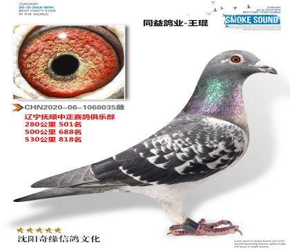 _ΘI(y)F(tun)P(gun)ɿ