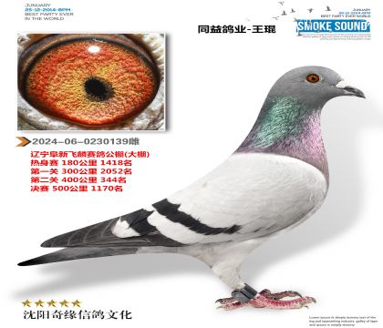 ̫мF(tun)X10w빫ِ