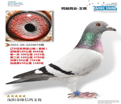 ꖹ＾܊X̫мF(tun)ң깫ِ