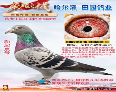 新起點(diǎn)號(hào)