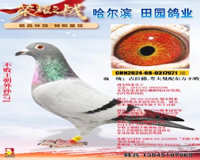 不敗王朝外孫671