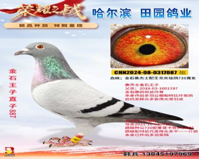 金石王子直子887