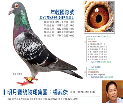 年輕國(guó)際號(hào)