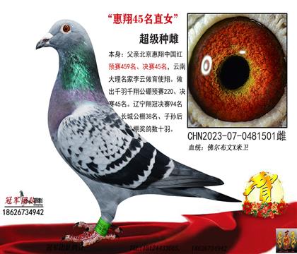 母親一惠翔45名最佳直女