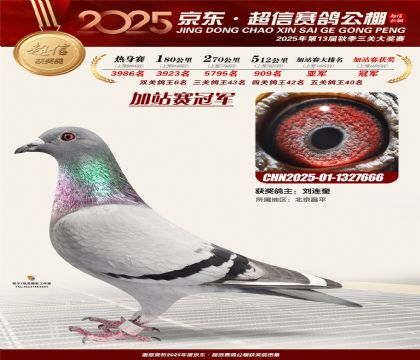 京东超信加站赛冠军