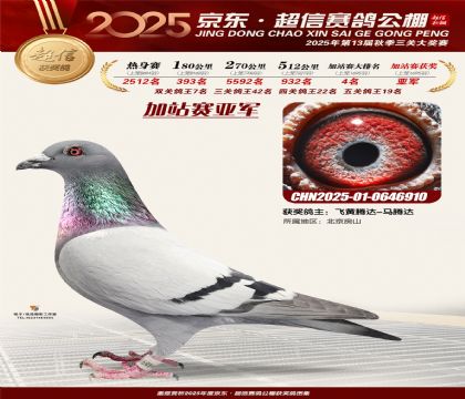 京东超信加站赛亚军