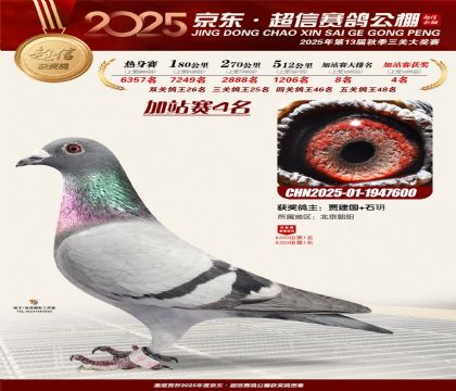 京东超信加站赛4名