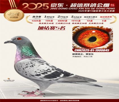 京东超信加站赛5名