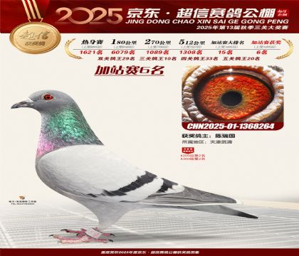 京东超信加站赛6名