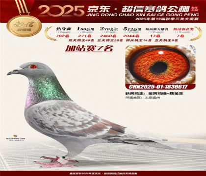 京东超信加站赛7名