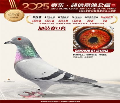 京东超信加站赛8名