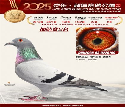 京东超信加站赛9名