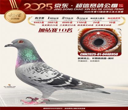 京东超信加站赛10名